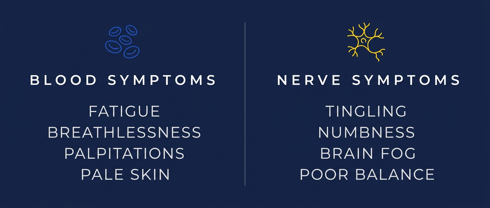 Infographic comparing blood-related B12 deficiency symptoms such as fatigue and breathlessness with nerve-related symptoms such as tingling and brain fog.